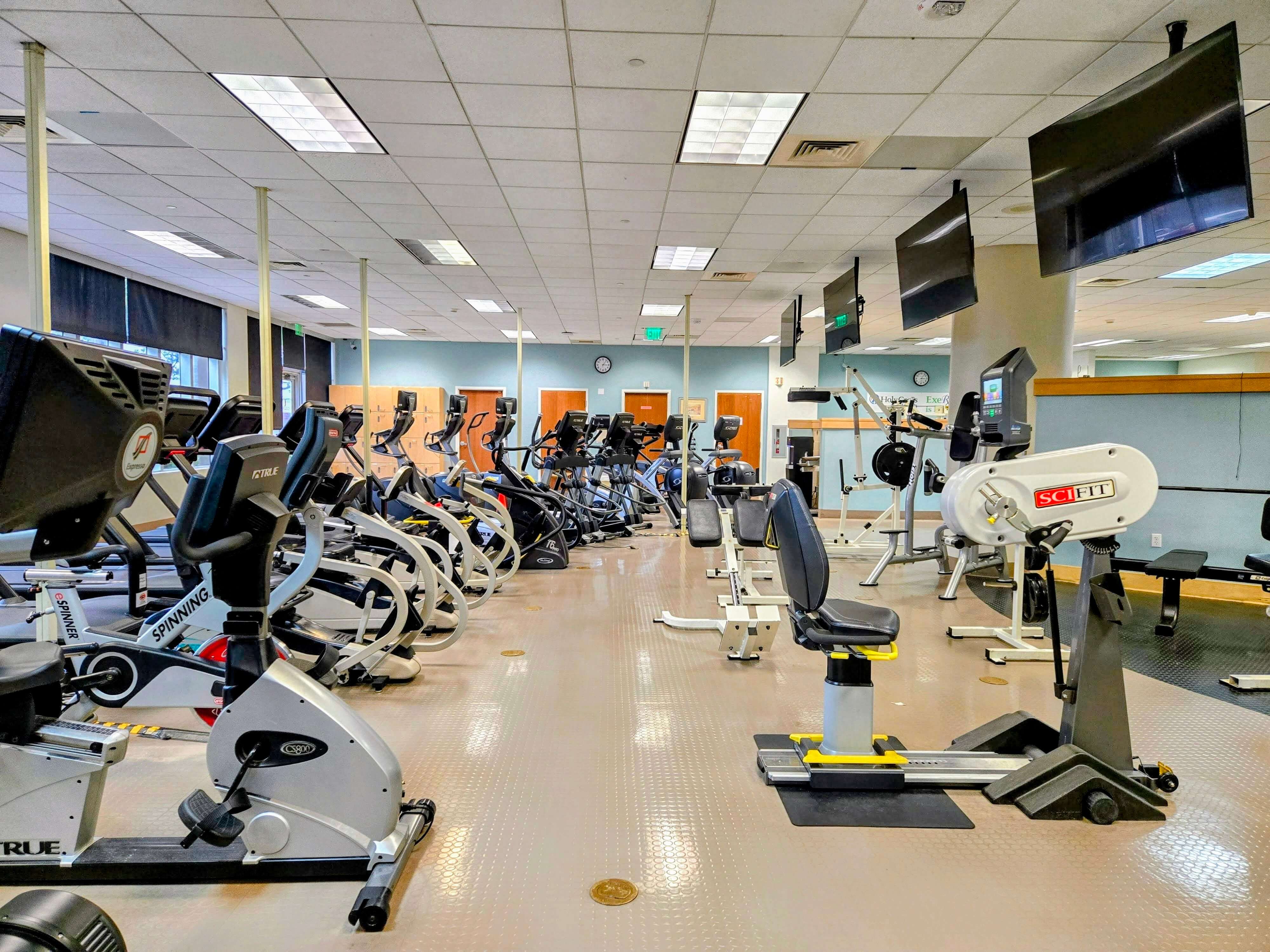 Health and Wellness